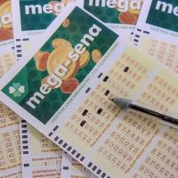 Oito apostas catarinenses ficam por um número de serem milionárias com a Mega Sena