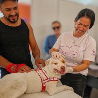 Campanha oferece vacinação gratuita para cães e gatos em Navegantes