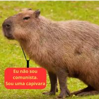 Capivara comunista