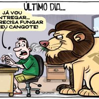 Último dia do I.R.