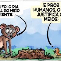 Meio Ambiente