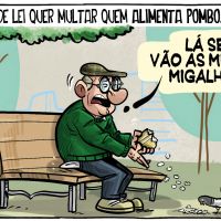 Lei quer multar quem alimenta pombos em BC