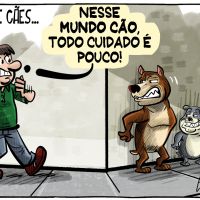 Cães atacam moradores do loteamento São Pedro