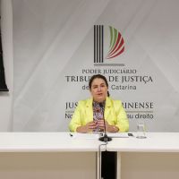 Violência contra a mulher: números alarmantes