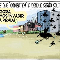 Mosquitos que “combatem” a dengue serão soltos em BC
