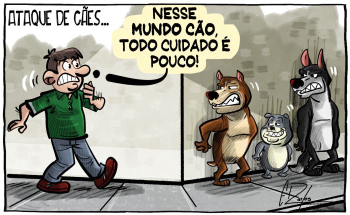Cães atacam moradores do loteamento São Pedro