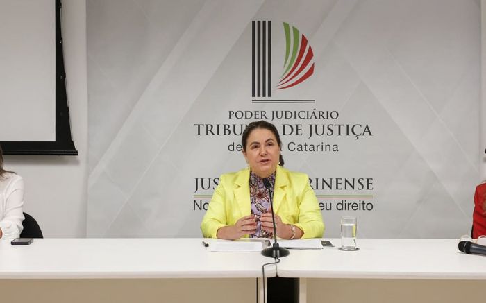 Violência contra a mulher: números alarmantes
