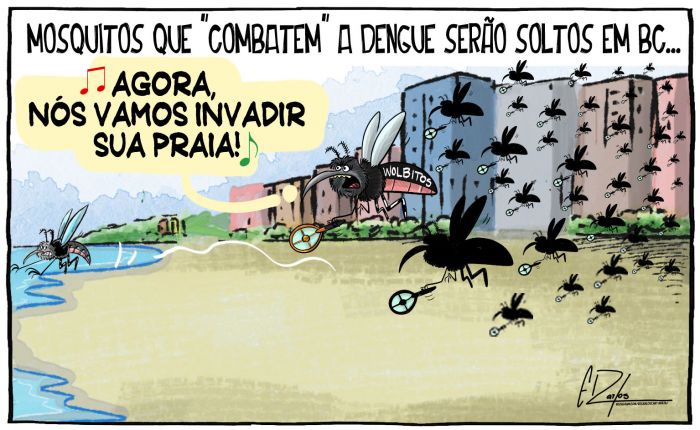 Mosquitos que “combatem” a dengue serão soltos em BC