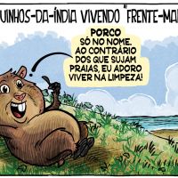 Porquinhos-da-índia na restinga da Praia Brava em Itajaí