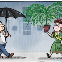 Começa a primavera