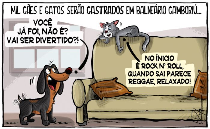 Castração de mil cães e gatos em Balneário Camboriú