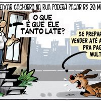 Tutor poderá pagar R$ 20 mil de multa se deixar cachorro na rua