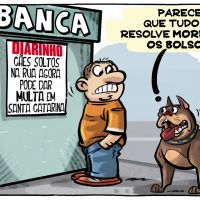 Nova lei proíbe cães soltos nas ruas em SC