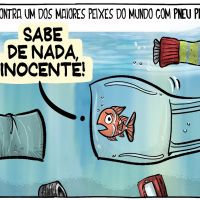 Fotógrafo encontra peixe com pneu preso no bico