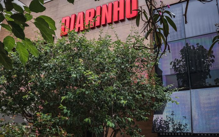 A vida brota, a notícia pulsa