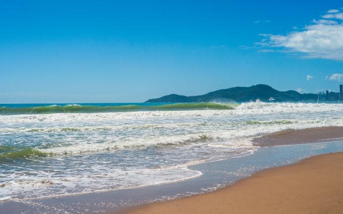 Brava em Estado Puro