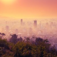 Itajaí em tons de ouro