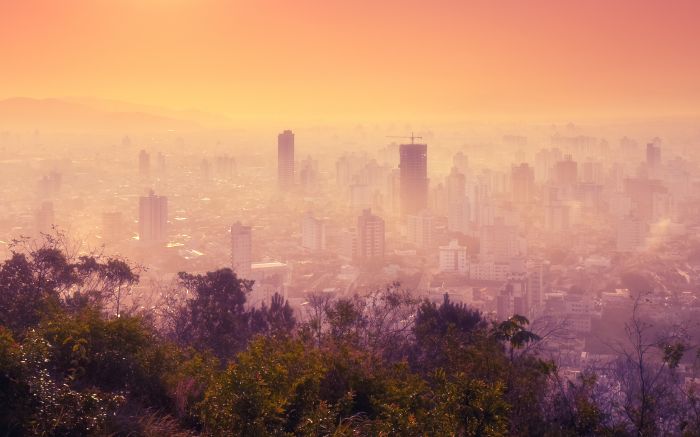 Itajaí em tons de ouro