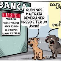 Caso cão Orelha