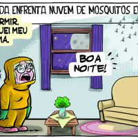 Nuvem de mosquitos em casa