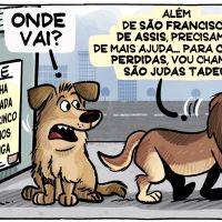 Crime contra animal em Joinville