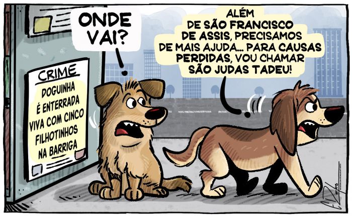 Crime contra animal em Joinville