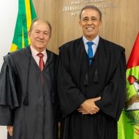 A importância do Senado