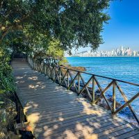 Entre a Mata e o Mar