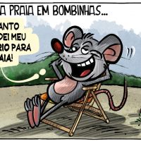Ratos na praia em Bombinhas