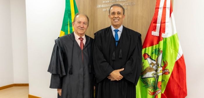 A importância do Senado