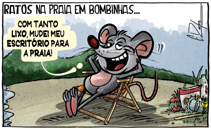 Ratos na praia em Bombinhas