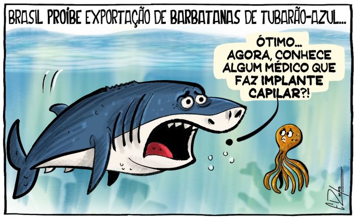 Proibida exportação de barbatanas de tubarão-azul