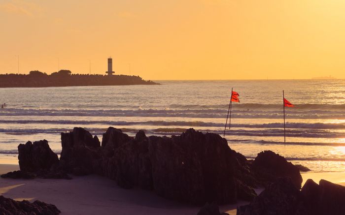 Dourado em silêncio