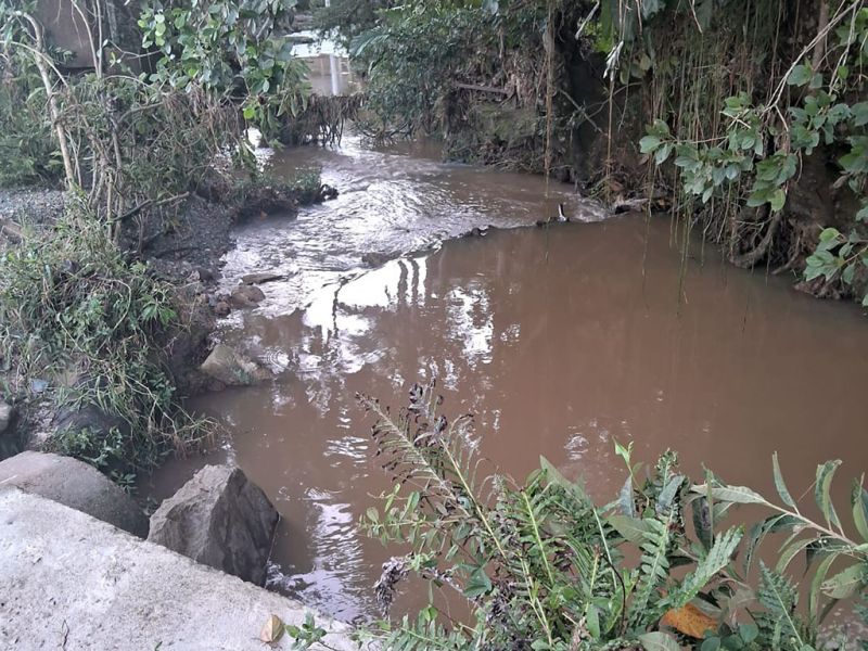 Já que a secretária de Agricultura de Itajaí, Flávia Sehn Ação, não se coça, o vereador Pedrão da Celesc (PL) pediu pra darem uma garibada na vala entre as ruas Bento Custódio Vieira e Carmo Mafra, na Paciência. Sem limpeza e manutenção, quando chove a aguarada invade as casas