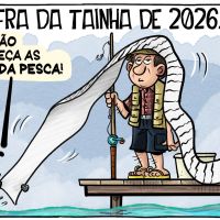 Regras da pesca da tainha ajudam ou atrapalham
