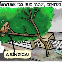 Árvore da polêmica