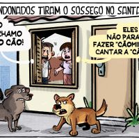 Cachorrada tirando a paz das famílias no Santa Regina