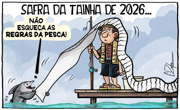 Regras da pesca da tainha ajudam ou atrapalham