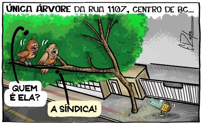 Árvore da polêmica