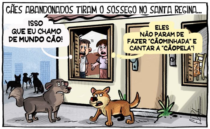 Cachorrada tirando a paz das famílias no Santa Regina