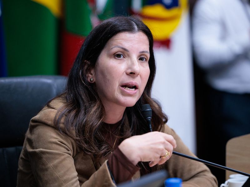 Fim dos tempos! Os vereadores da piramidal pexêra, Victor Nascimento, o boneco Falcon (PL) e Liliane Fontenelle, a dra. Pix, entraram em rota de colisão pesada (foto: divulgação)