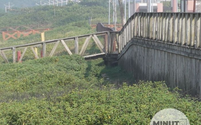 Prefeitura de Navegantes quer autorização pra “podar” restinga