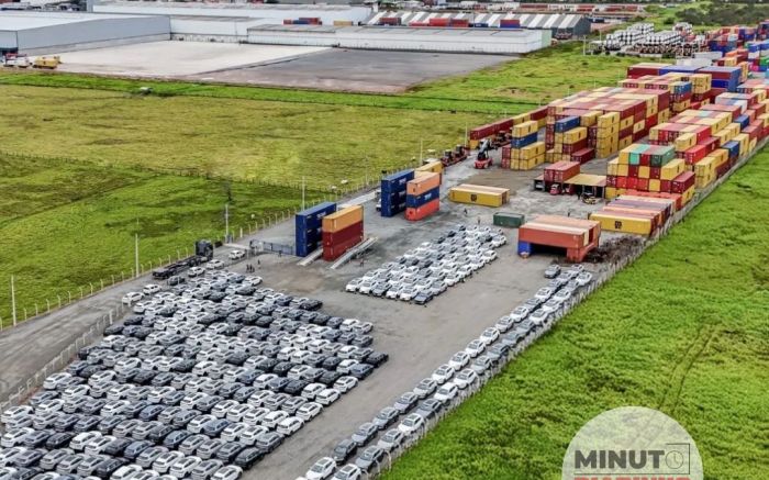 Empresa de Itajaí faz história com operação de desova de dois mil veículos da BYD
