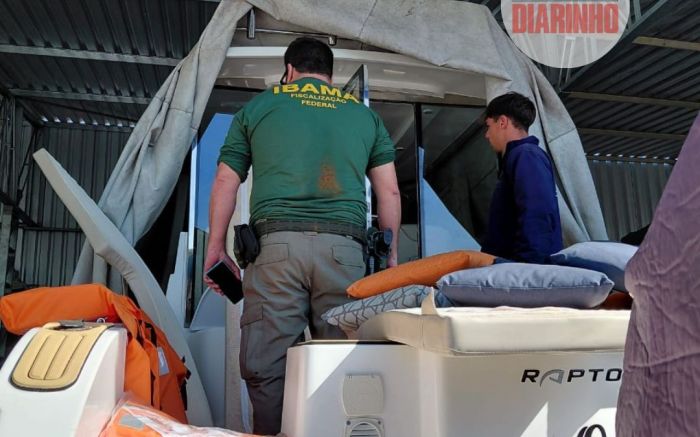 Embarcação que perseguiu baleia-franca com filhotes é apreendida