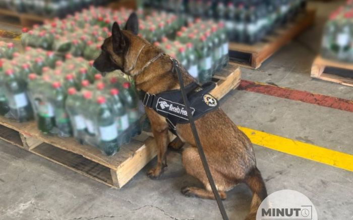 Carga de cocaína diluída em refrigerante é apreendida em Navegantes