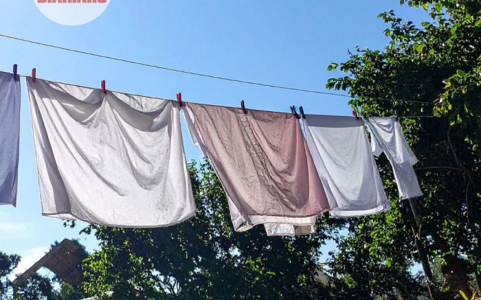 Maníaco das calcinhas já levou mais de 50 peças de vizinhança